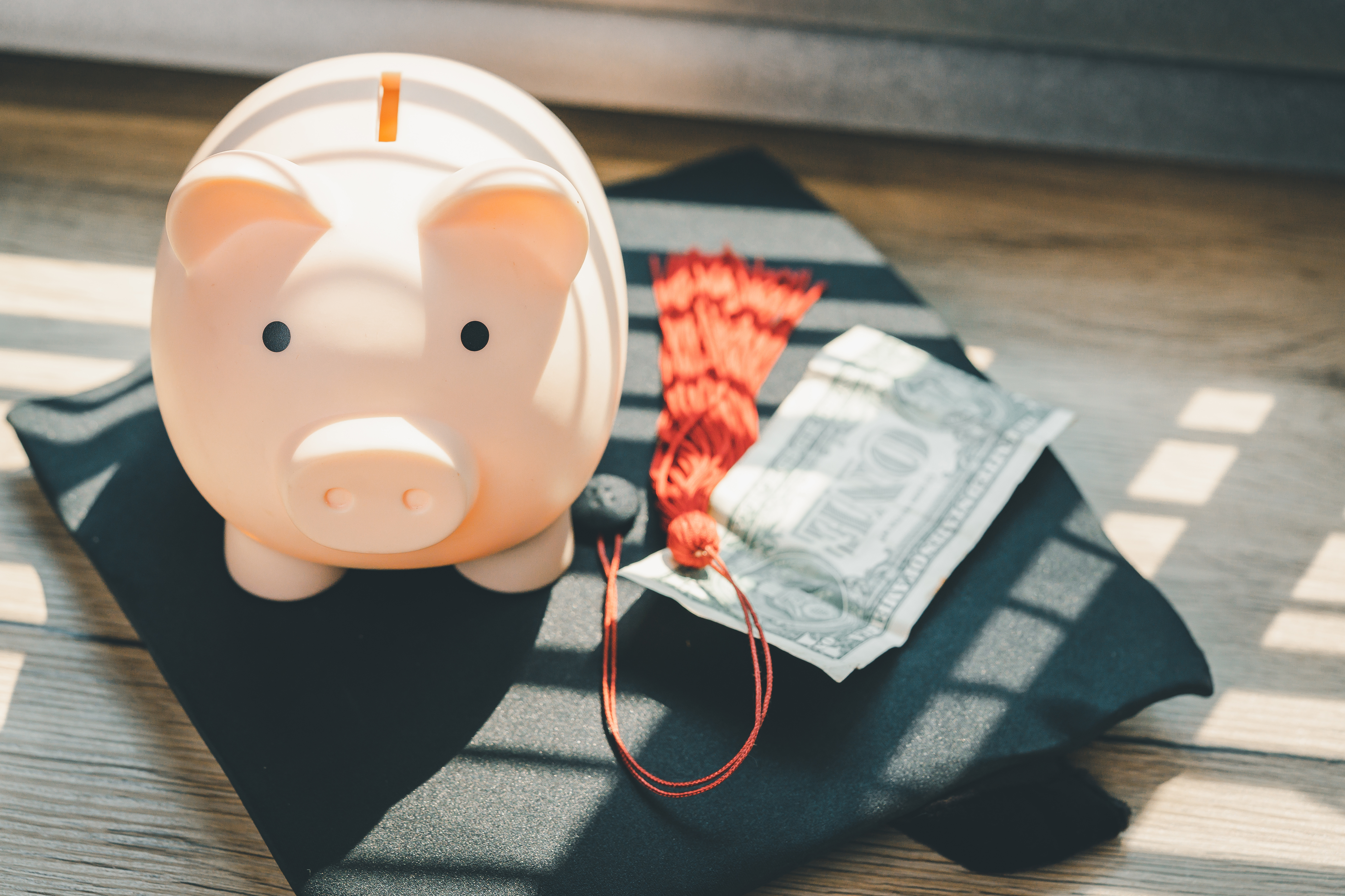 Navigating Student Loan Repayment with the SAVE Plan